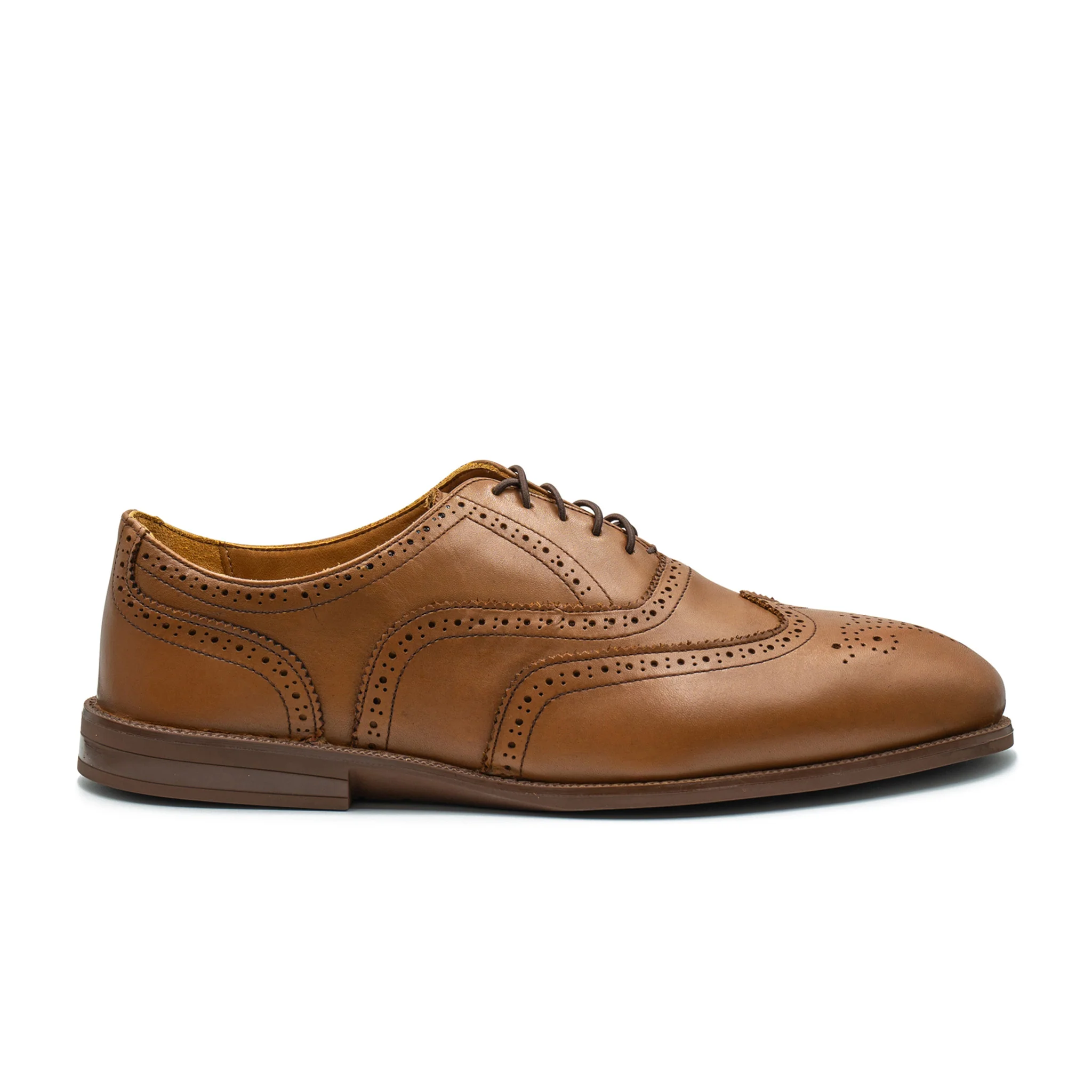 RAPTOR Wingtip Oxfords - Image 13