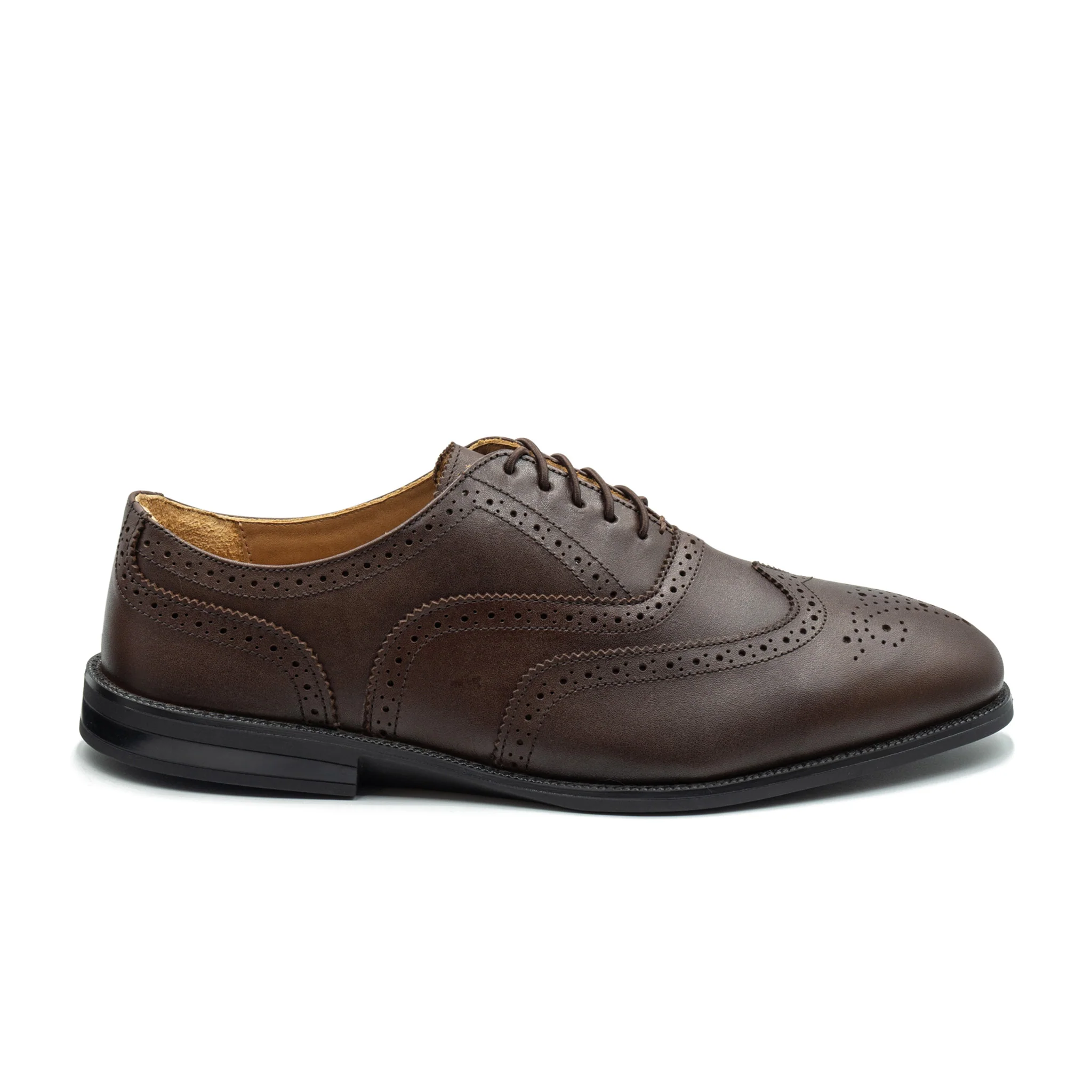 RAPTOR Wingtip Oxfords - Image 7