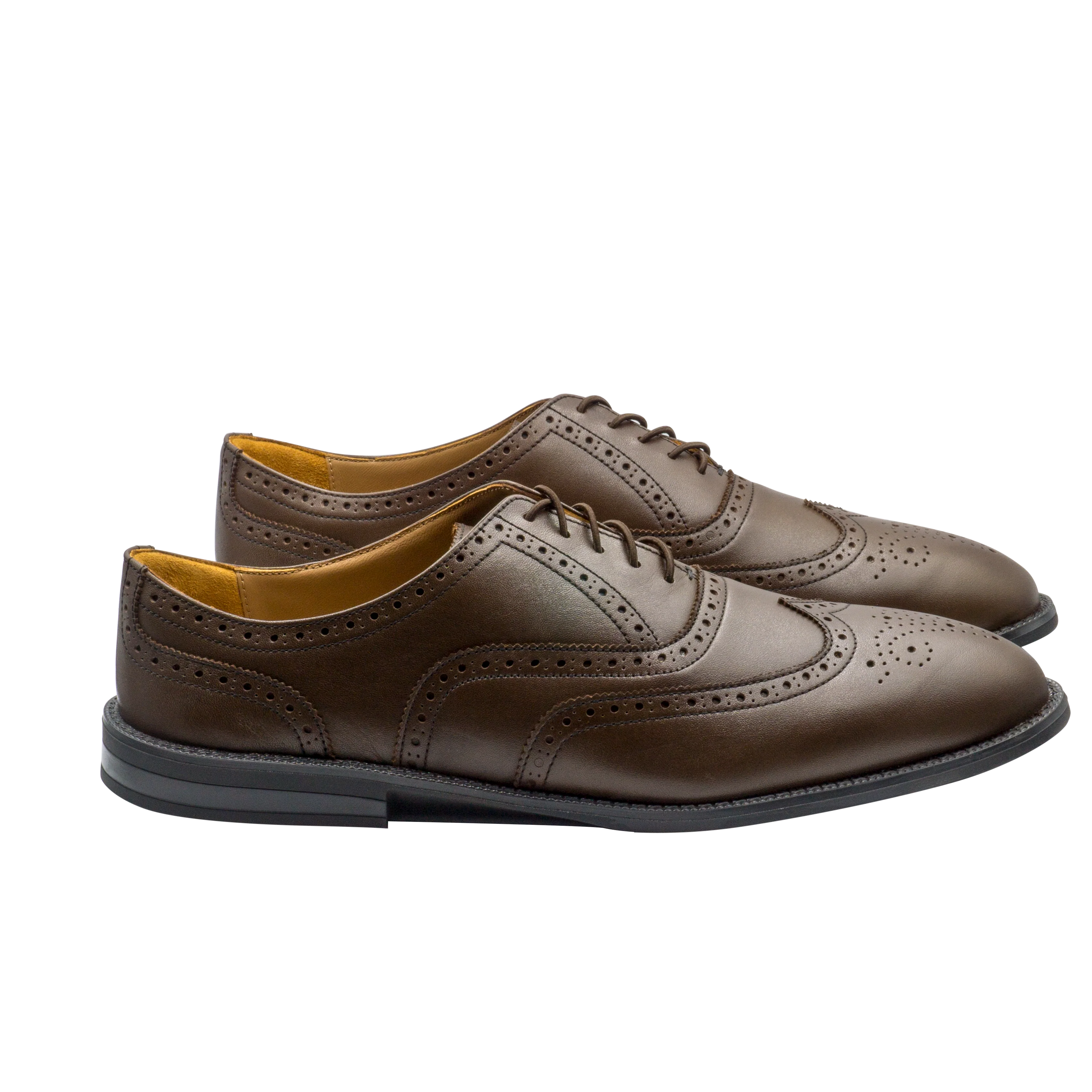 RAPTOR Wingtip Oxfords (Outlet) - Image 10