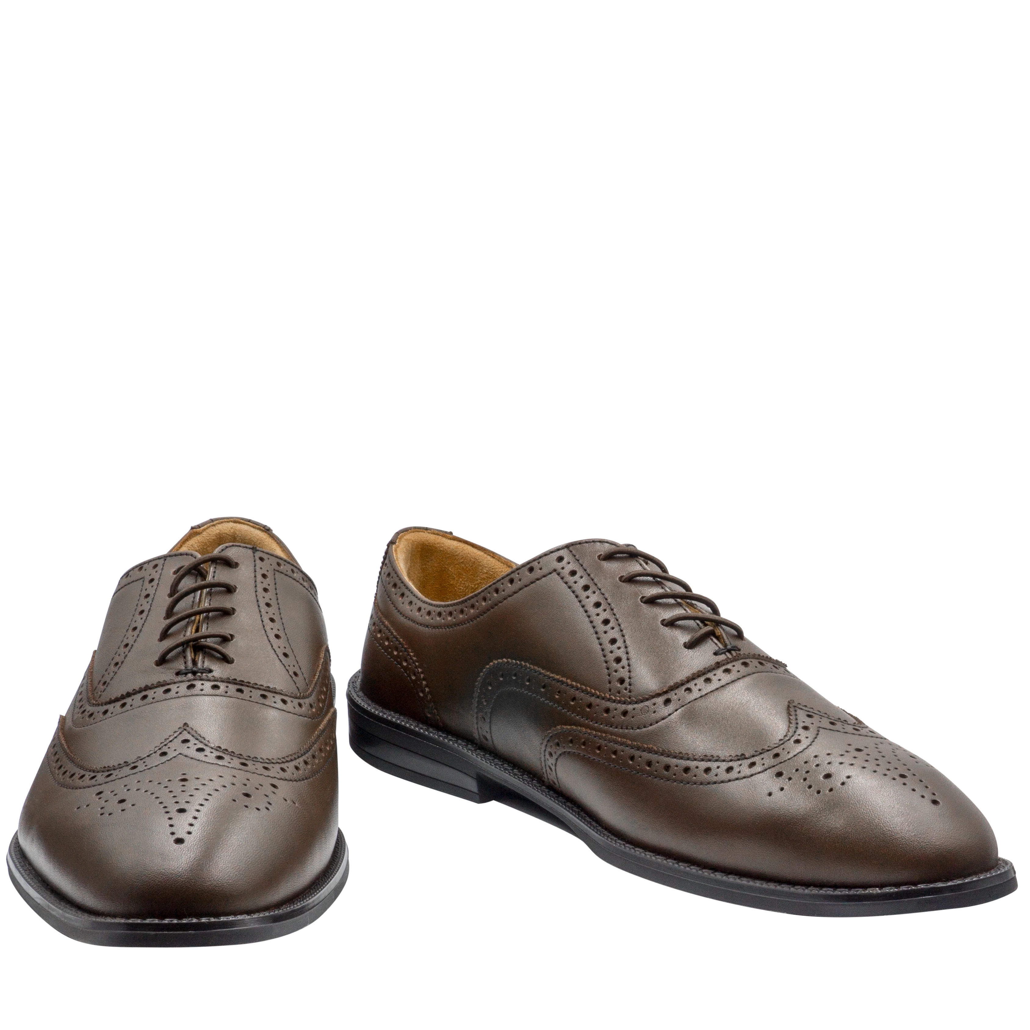 RAPTOR Wingtip Oxfords (Outlet) - Image 11