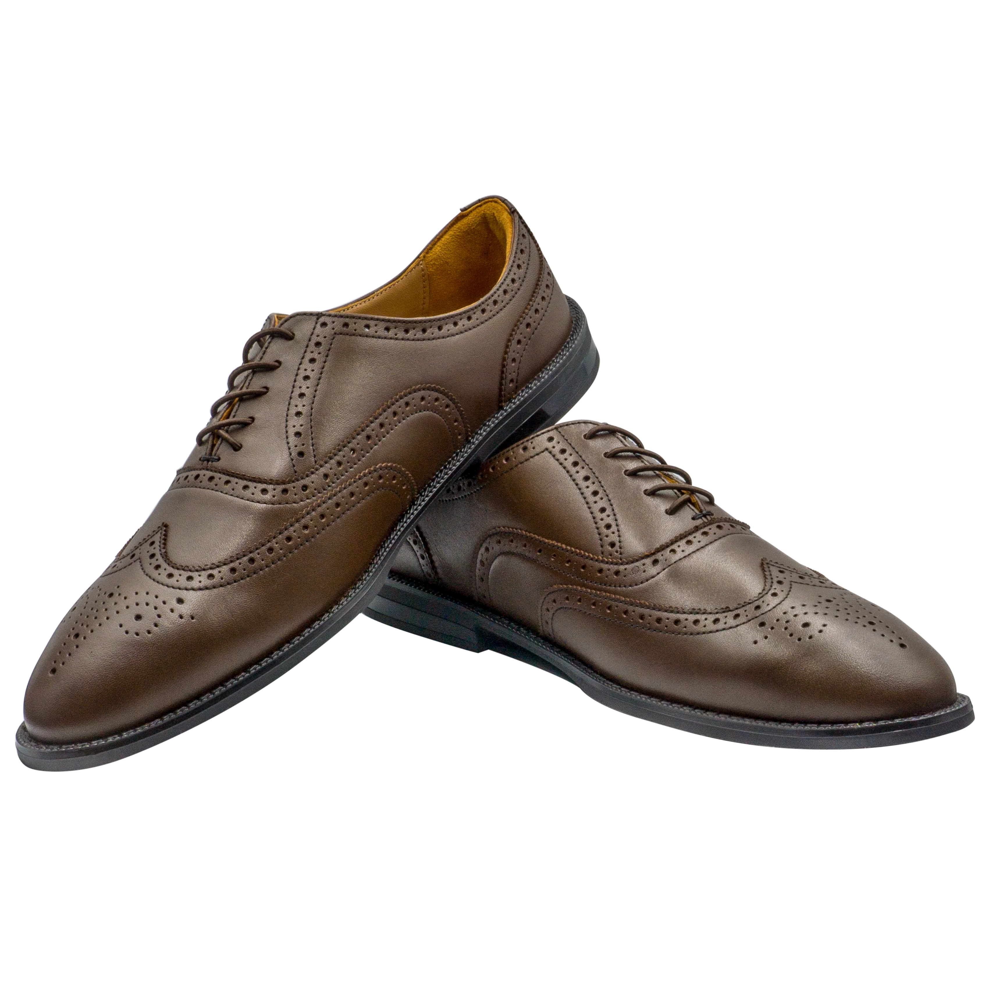 RAPTOR Wingtip Oxfords (Outlet) - Image 13