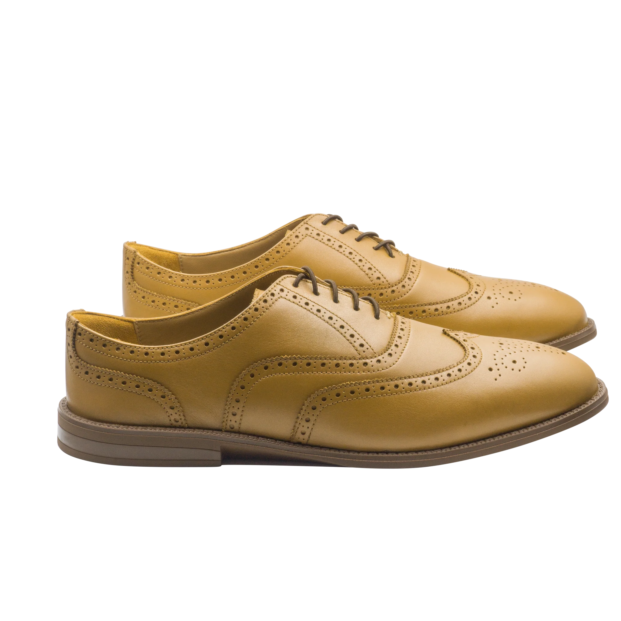 RAPTOR Wingtip Oxfords (Outlet) - Image 17