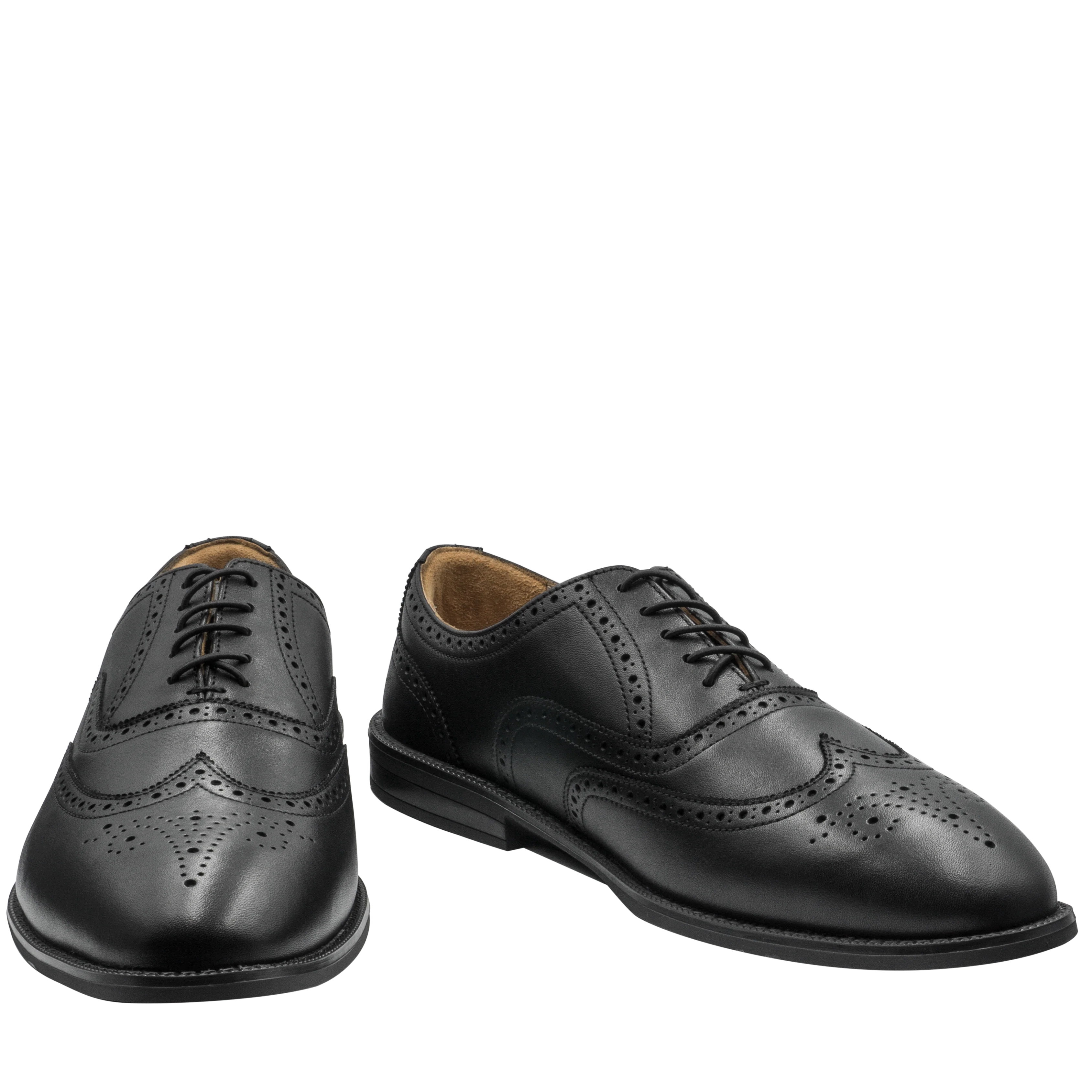RAPTOR Wingtip Oxfords (Outlet) - Image 4