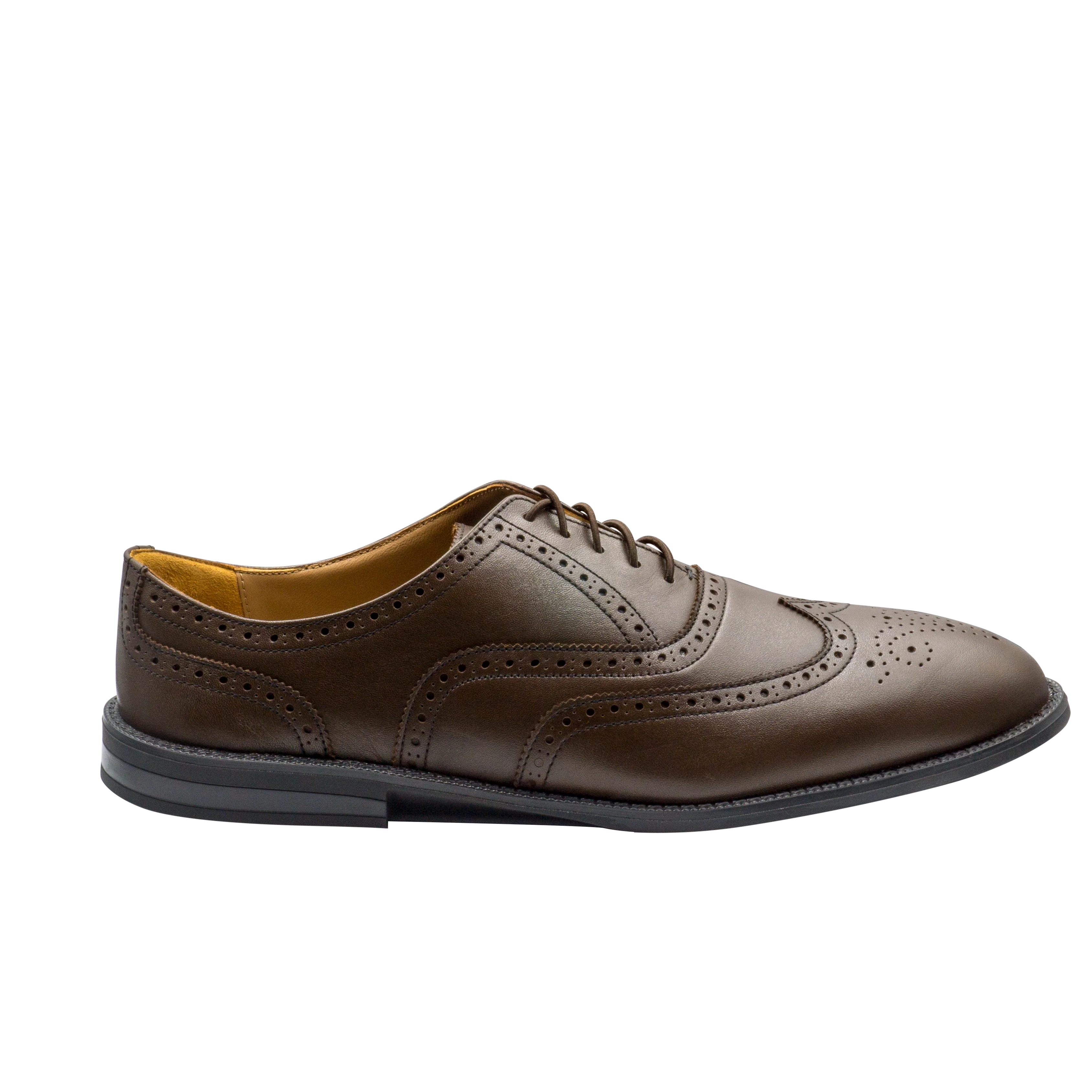 RAPTOR Wingtip Oxfords (Outlet) - Image 8